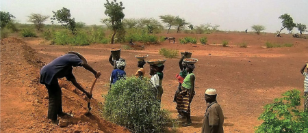 Farming in Burkina Faso