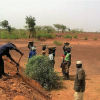 Farming in Burkina Faso